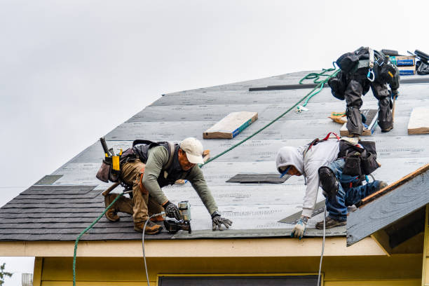 Professional Roof Installation technician working in Springfield, MA
